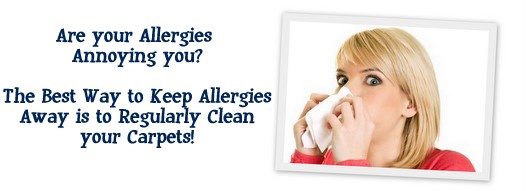 Carpet Cleaning Los Altos, CA