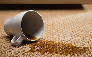 Carpet Cleaning Los Altos, CA