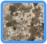 Los Altos, CA Water Damage Restoration